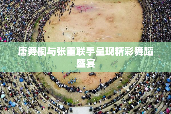 唐舞桐与张重联手呈现精彩舞蹈盛宴
