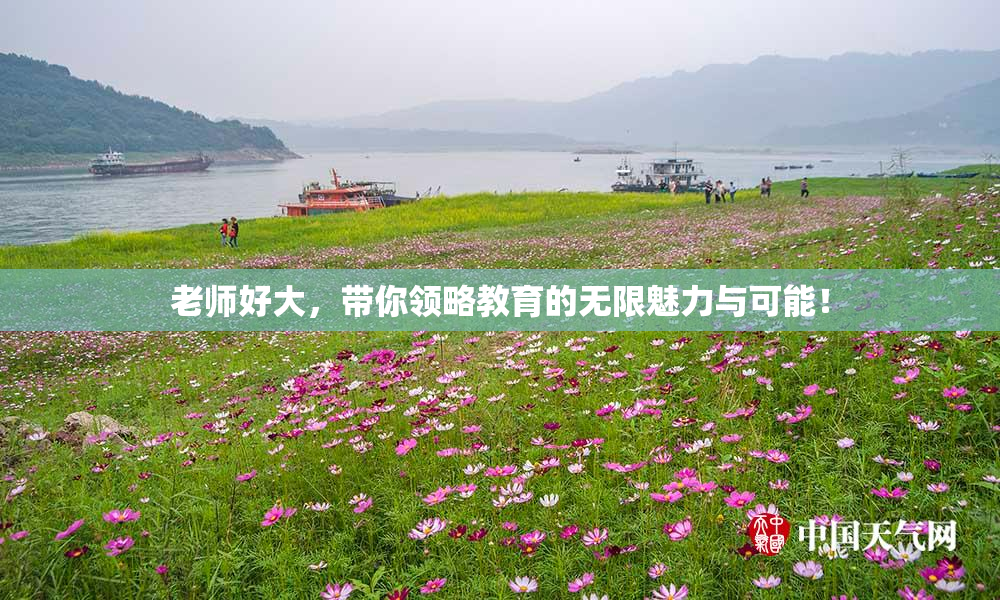 老师好大，带你领略教育的无限魅力与可能！