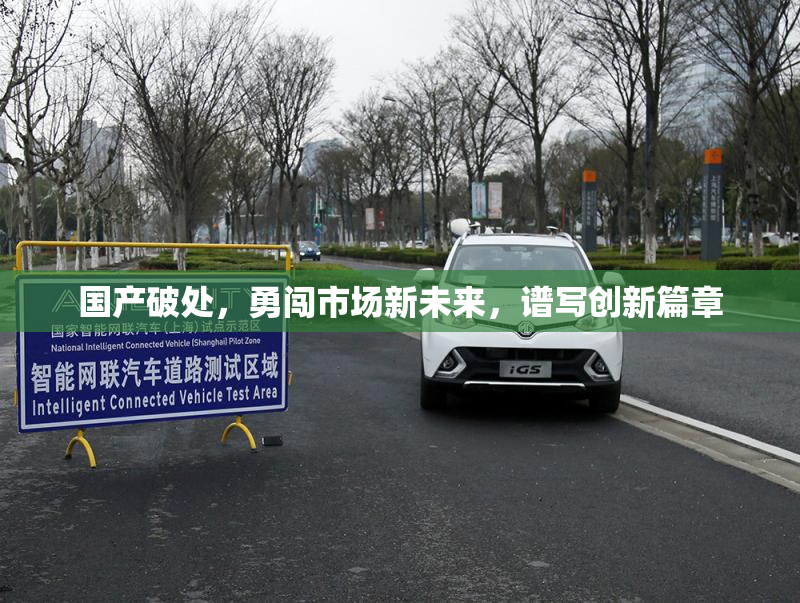 国产破处，勇闯市场新未来，谱写创新篇章