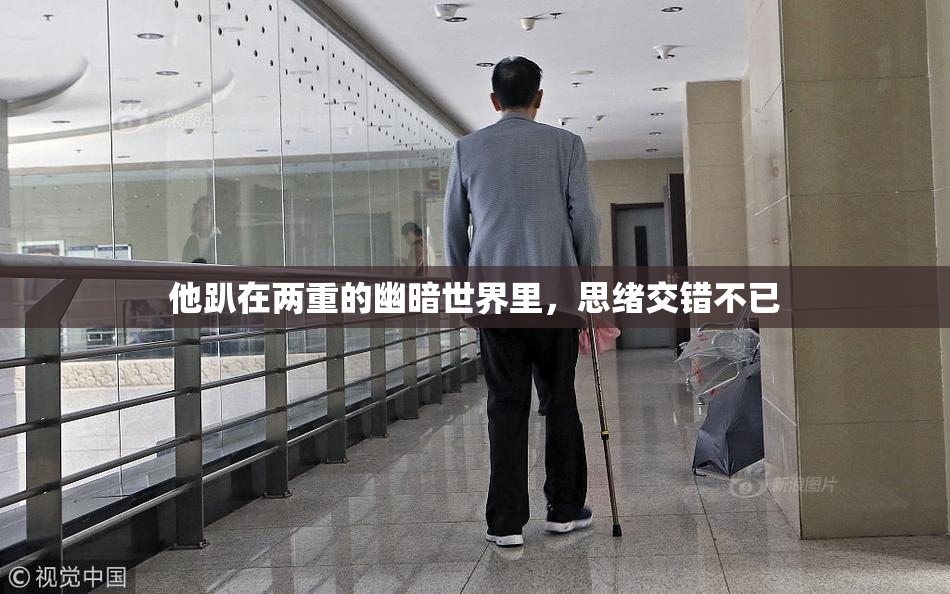 他趴在两重的幽暗世界里，思绪交错不已