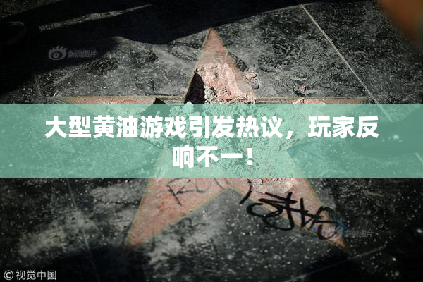 大型黄油游戏引发热议，玩家反响不一！
