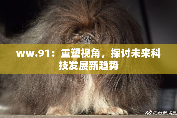 ww.91：重塑视角，探讨未来科技发展新趋势