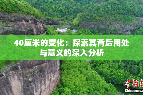 40厘米的变化：探索其背后用处与意义的深入分析