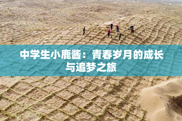 中学生小鹿酱：青春岁月的成长与追梦之旅