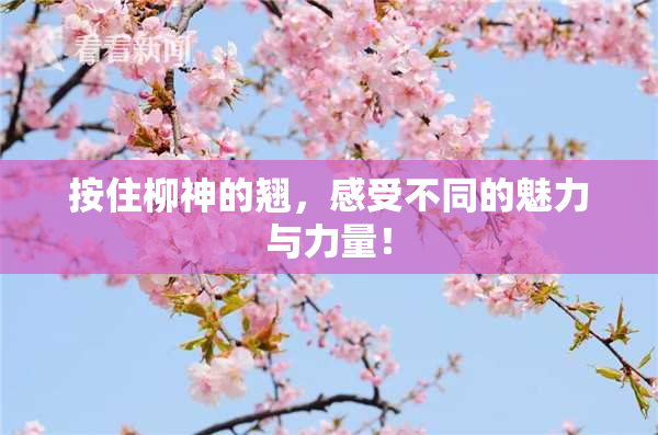 按住柳神的翘，感受不同的魅力与力量！