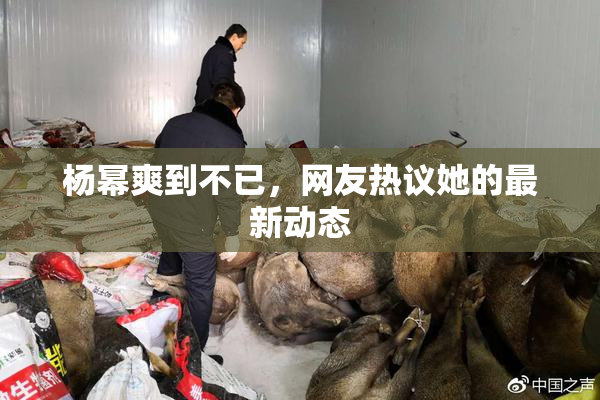 杨幂爽到不已，网友热议她的最新动态