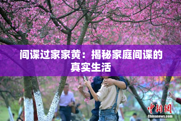 间谍过家家黄：揭秘家庭间谍的真实生活