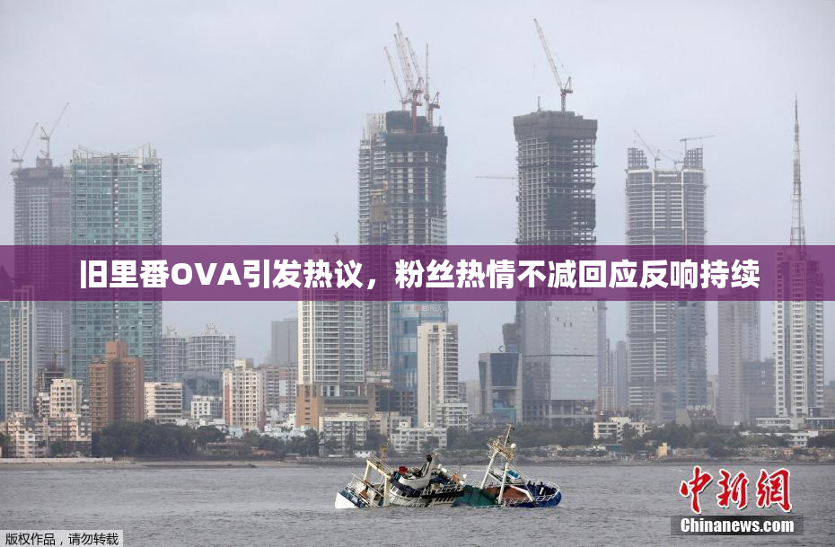 旧里番OVA引发热议，粉丝热情不减回应反响持续