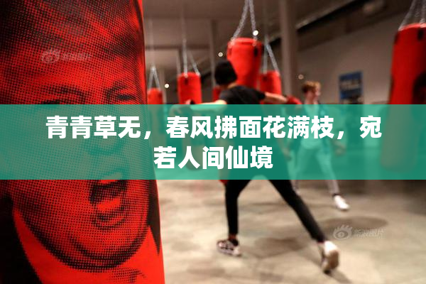 青青草无，春风拂面花满枝，宛若人间仙境