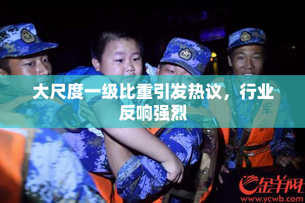 大尺度一级比重引发热议，行业反响强烈