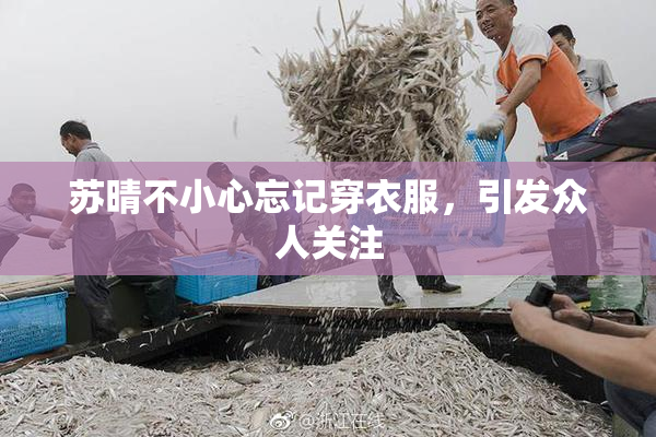 苏晴不小心忘记穿衣服，引发众人关注