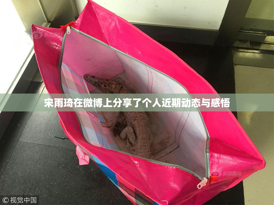 宋雨琦在微博上分享了个人近期动态与感悟