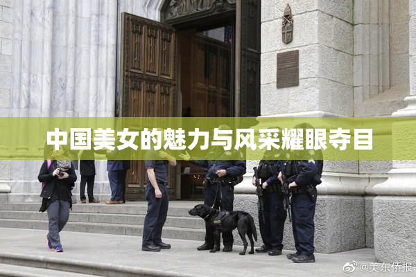 中国美女的魅力与风采耀眼夺目