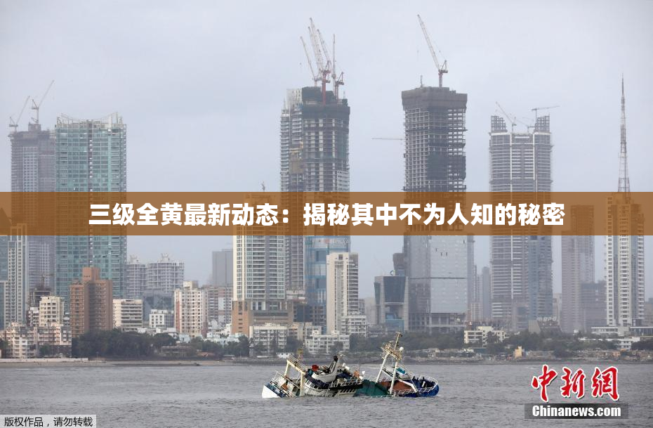 三级全黄最新动态：揭秘其中不为人知的秘密