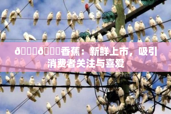 🔞🔞香蕉：新鲜上市，吸引消费者关注与喜爱