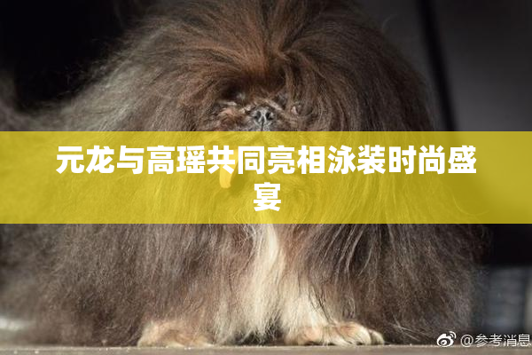 元龙与高瑶共同亮相泳装时尚盛宴