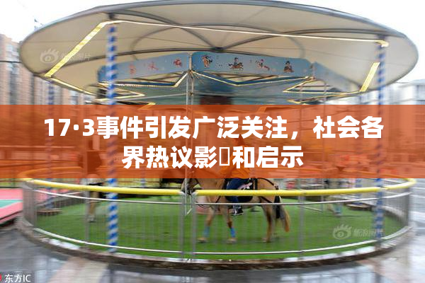 17·3事件引发广泛关注，社会各界热议影響和启示