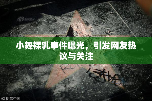 小舞裸乳事件曝光，引发网友热议与关注