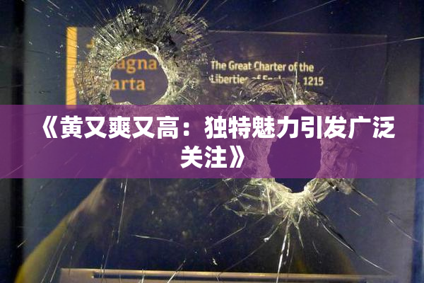《黄又爽又高：独特魅力引发广泛关注》