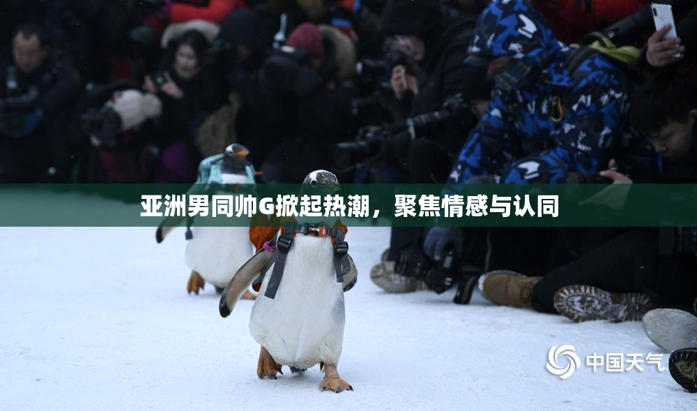 亚洲男同帅G掀起热潮，聚焦情感与认同
