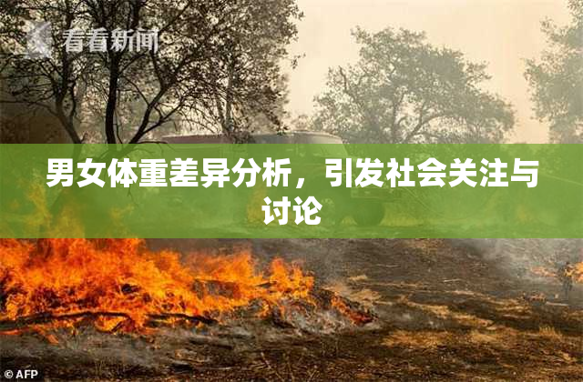 男女体重差异分析，引发社会关注与讨论