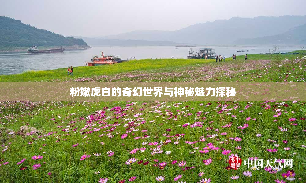 粉嫩虎白的奇幻世界与神秘魅力探秘