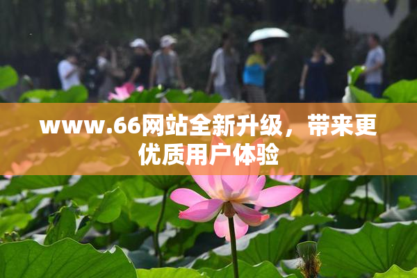 www.66网站全新升级，带来更优质用户体验