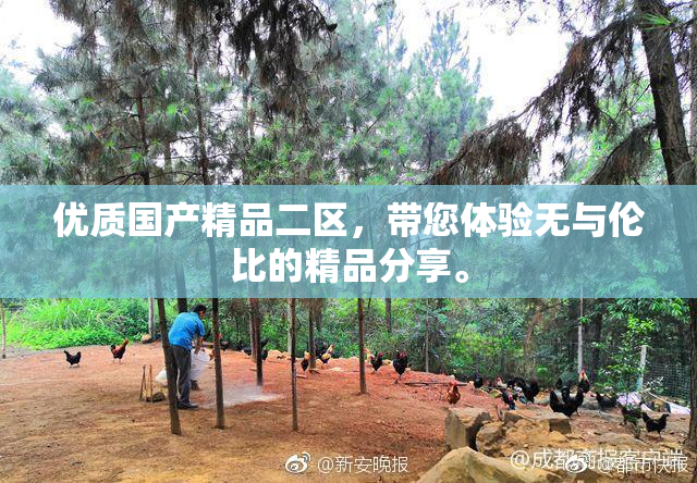 优质国产精品二区，带您体验无与伦比的精品分享。