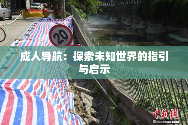 成人导航：探索未知世界的指引与启示