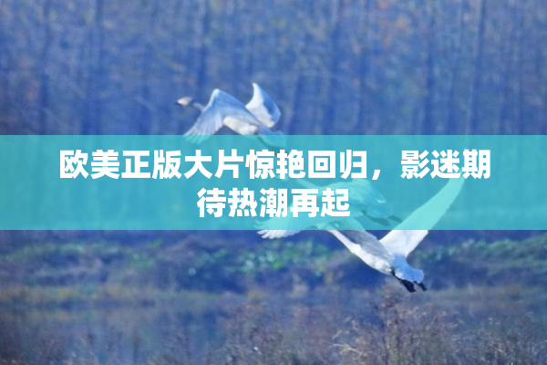 欧美正版大片惊艳回归，影迷期待热潮再起