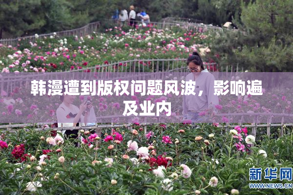 韩漫遭到版权问题风波，影响遍及业内