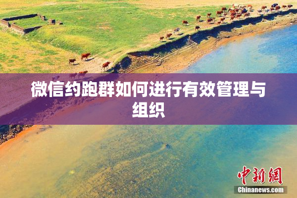 微信约跑群如何进行有效管理与组织