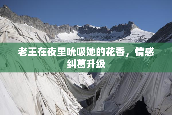 老王在夜里吮吸她的花香，情感纠葛升级