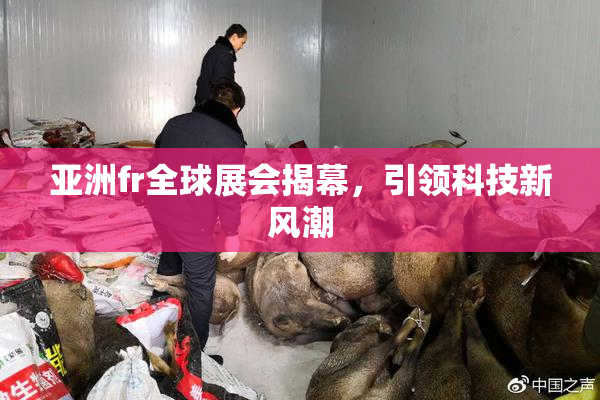 亚洲fr全球展会揭幕，引领科技新风潮