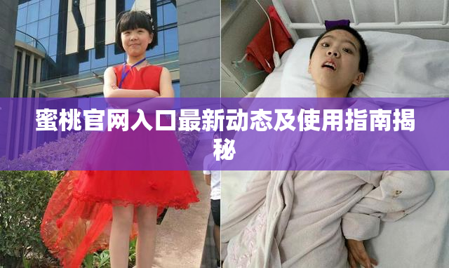 蜜桃官网入口最新动态及使用指南揭秘