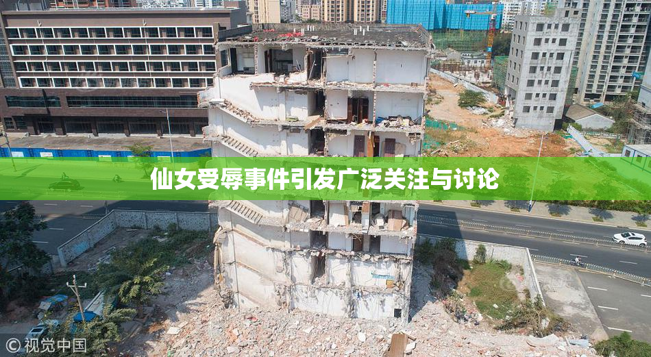 仙女受辱事件引发广泛关注与讨论