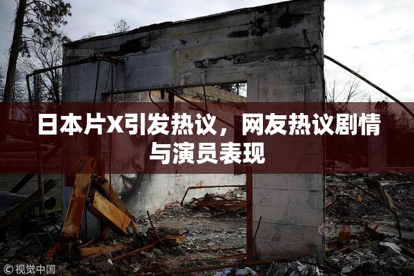 日本片X引发热议，网友热议剧情与演员表现
