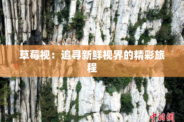 草莓视：追寻新鲜视界的精彩旅程