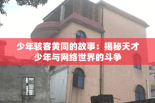 少年骇客黄同的故事：揭秘天才少年与网络世界的斗争