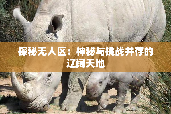 探秘无人区：神秘与挑战并存的辽阔天地
