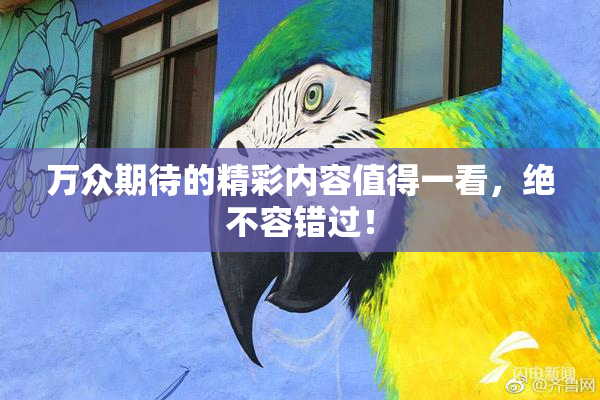 万众期待的精彩内容值得一看，绝不容错过！