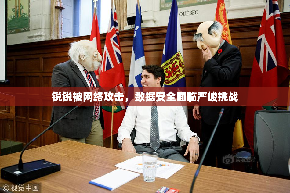 锐锐被网络攻击，数据安全面临严峻挑战