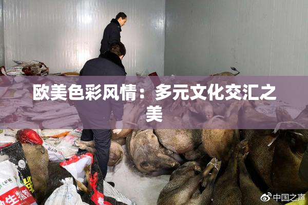 欧美色彩风情：多元文化交汇之美