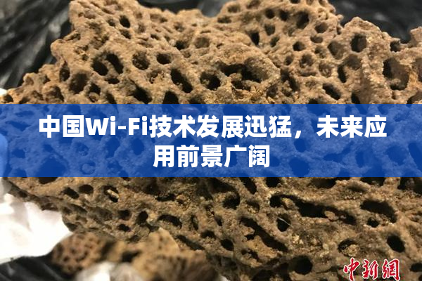 中国Wi-Fi技术发展迅猛，未来应用前景广阔