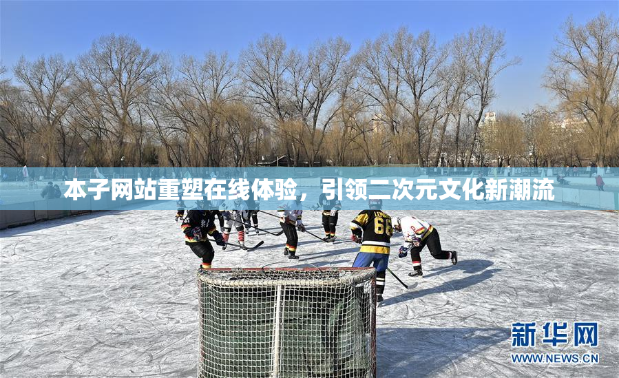 本子网站重塑在线体验，引领二次元文化新潮流
