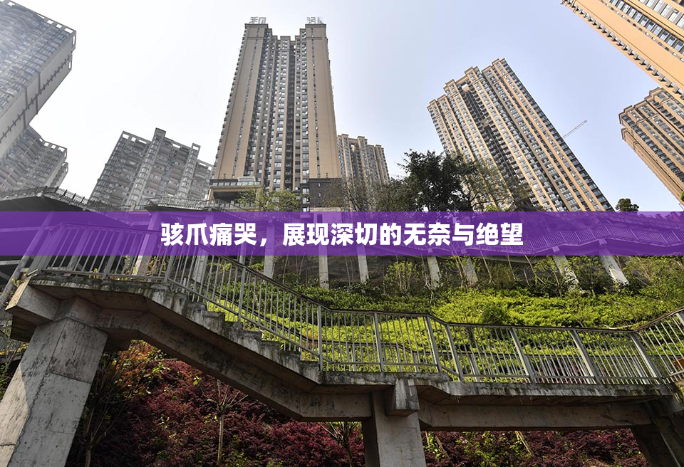 骇爪痛哭，展现深切的无奈与绝望
