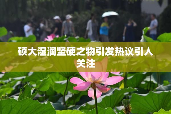 硕大湿润坚硬之物引发热议引人关注