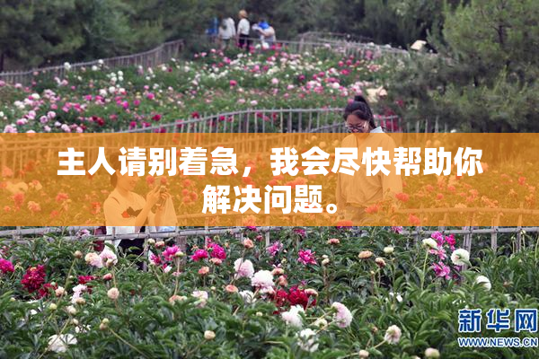主人请别着急，我会尽快帮助你解决问题。