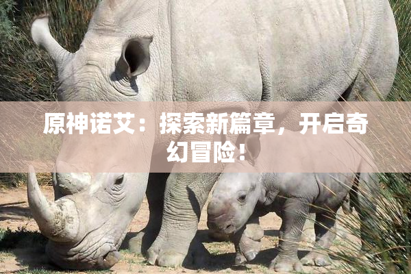 原神诺艾：探索新篇章，开启奇幻冒险！