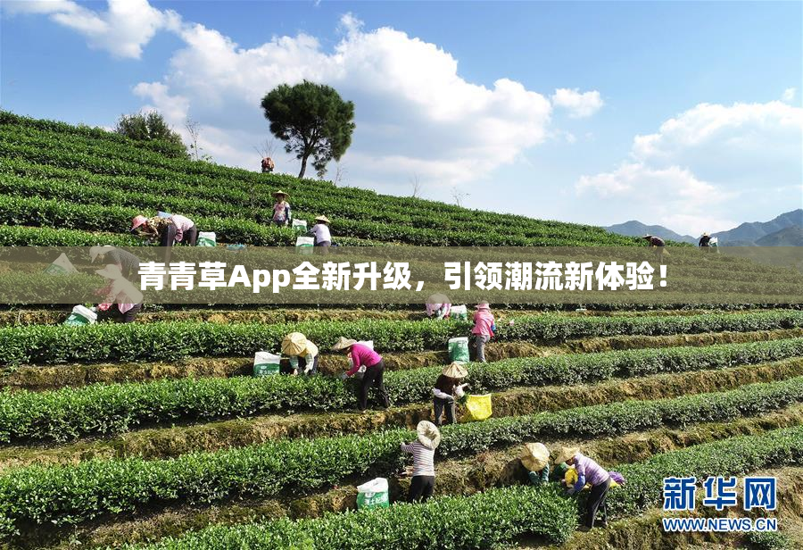 青青草App全新升级，引领潮流新体验！